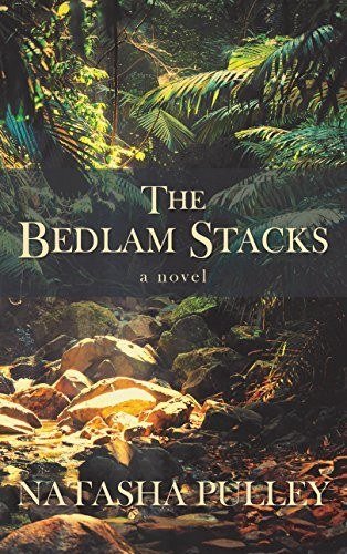 The Bedlam Stacks cover or key art