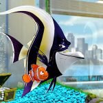 Finding Nemo 3D (Frank’s Take). Finding Nemo 3D (Frank’s Take).