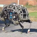 Wild army robot… WildCat. Wild army robot… WildCat.
