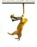 Save The Cat! by Blake Snyder (book review). Save The Cat! by Blake Snyder (book review).