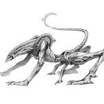 Alien: The Archive: The Ultimate Guide To The Classic Movies (book review). Alien: The Archive: The Ultimate Guide To The Classic Movies (book review).