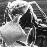 Editorial – August 2015: I’m beginning to think of August as computer month. Editorial – August 2015: I’m beginning to think of August as computer month.