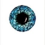 Invent-10n by Rod Rees (book review). Invent-10n by Rod Rees (book review).