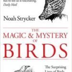 The Magic & Mystery Of Birds by Noah Strycker (book review). The Magic & Mystery Of Birds by Noah Strycker (book review).