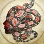 Dreamsnake by Vonda N. McIntyre (book review). Dreamsnake by Vonda N. McIntyre (book review).