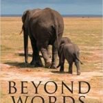 Beyond Worlds: What Animals Think by Carl Safina (book review) Beyond Worlds: What Animals Think by Carl Safina (book review)