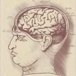 The Rhymer: An Heredyssey by Douglas Thompson (book review). The Rhymer: An Heredyssey by Douglas Thompson (book review).