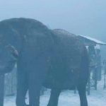 Doctor Who, season 10, episode 3: Thin Ice by Sarah Dolland. Doctor Who, season 10, episode 3: Thin Ice by Sarah Dolland.