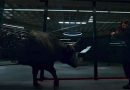 Westworld Season 2 (trailer).