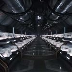 The 100 (5th season) (trailer). The 100 (5th season) (trailer).