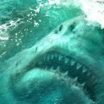 The Meg (trailer): Jason Statham, dinosaur hunter? The Meg (trailer): Jason Statham, dinosaur hunter?