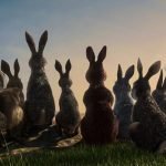Watership Down: what a lot of Rabbit (BBC 1 trailer). Watership Down: what a lot of Rabbit (BBC 1 trailer).