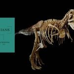 The World Of Dinosaurs by Dr. Mark Norell (book review). The World Of Dinosaurs by Dr. Mark Norell (book review).