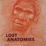 Lost Anatomies: The Evolution Of The Human Form by John Gurche (book review). Lost Anatomies: The Evolution Of The Human Form by John Gurche (book review).
