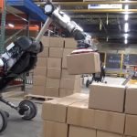 Bird-bot will conquer the world (first, they came for the warehouse workers). Bird-bot will conquer the world (first, they came for the warehouse workers).