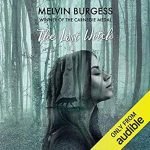 The Lost Witch by Melvin Burgess (audio book review). The Lost Witch by Melvin Burgess (audio book review).