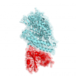 Use your PC’s spare capacity to research coronavirus cures (science news). Use your PC’s spare capacity to research coronavirus cures (science news).