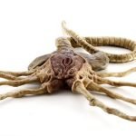My New Pet: an article by: GF Willmetts. My New Pet: an article by: GF Willmetts.